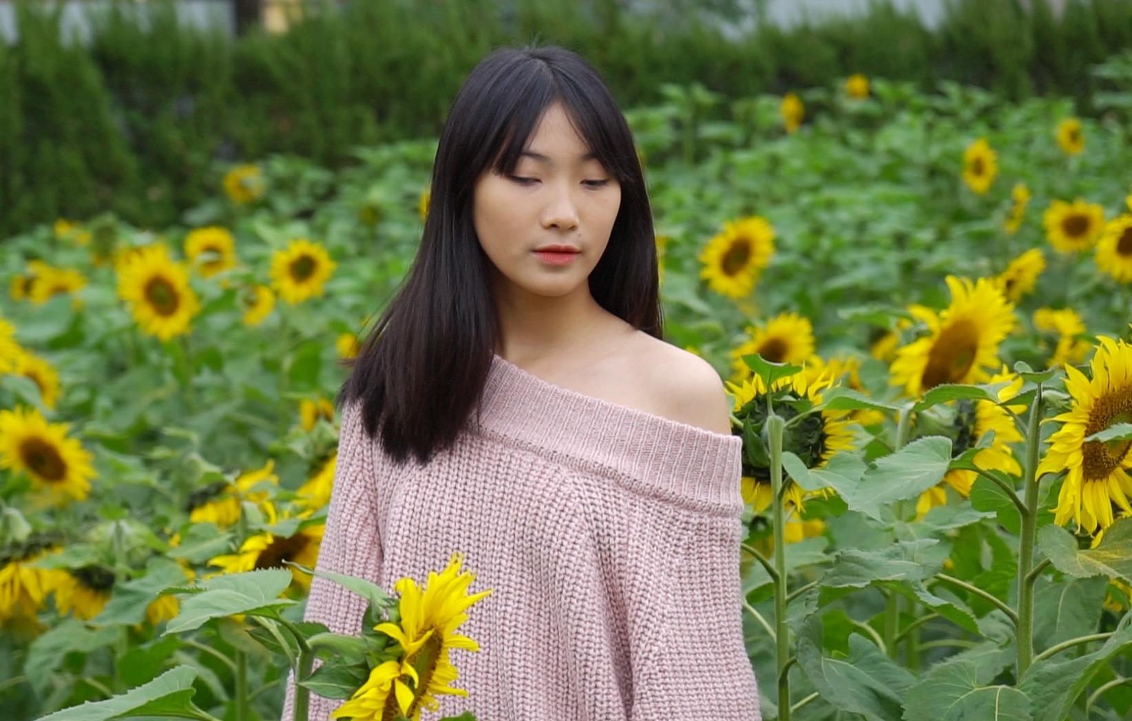 Vuon hoa huong duong giua trung tam Ha Noi, diem check in song ao moi hinh anh