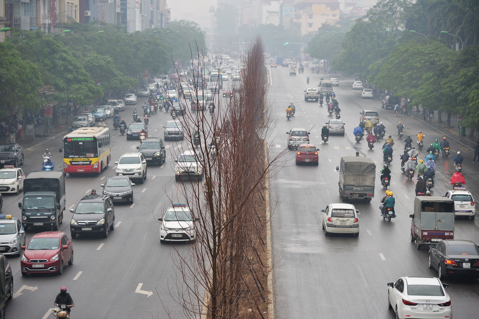 Ha Noi trong cay phong la do anh 2