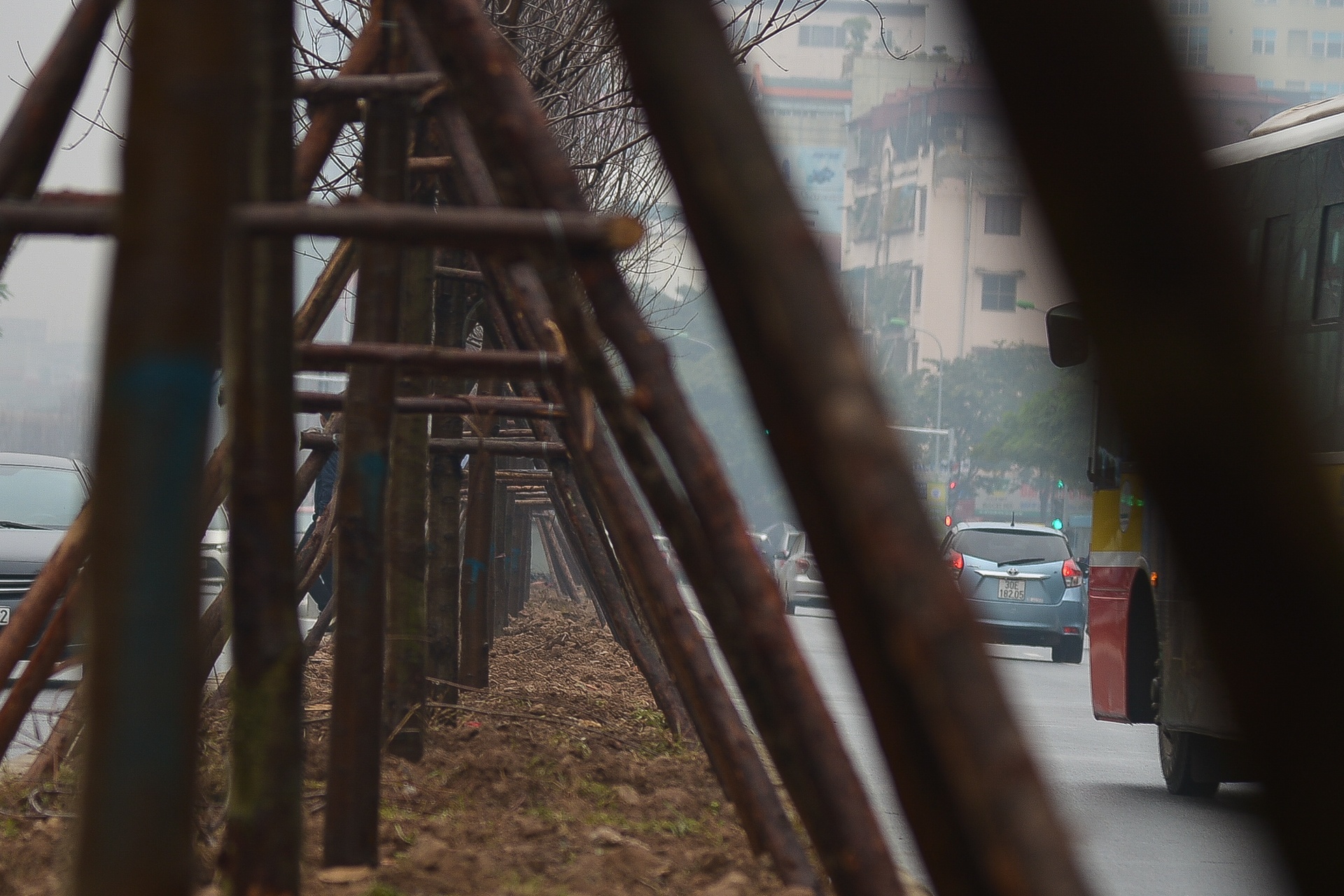 Ha Noi trong cay phong la do anh 4