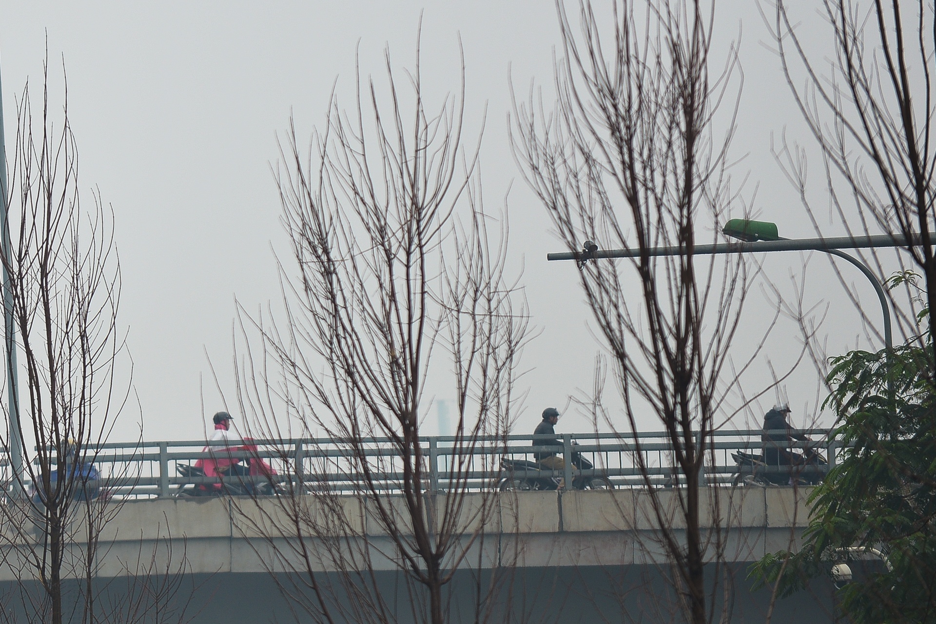 Ha Noi trong cay phong la do anh 7