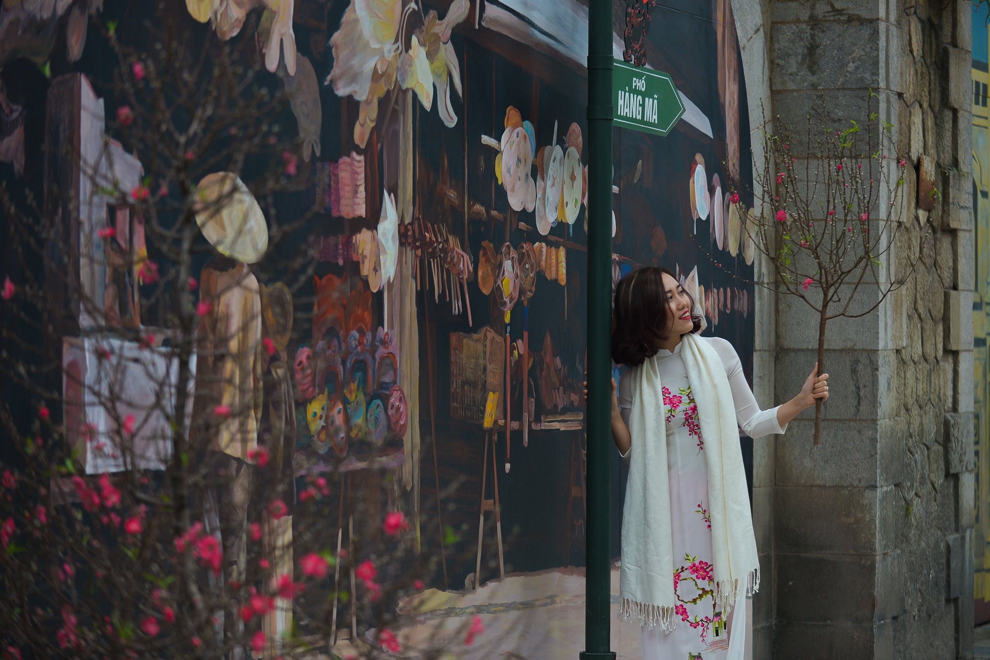 Pho bich hoa xuat hien giua long Ha Noi hinh anh