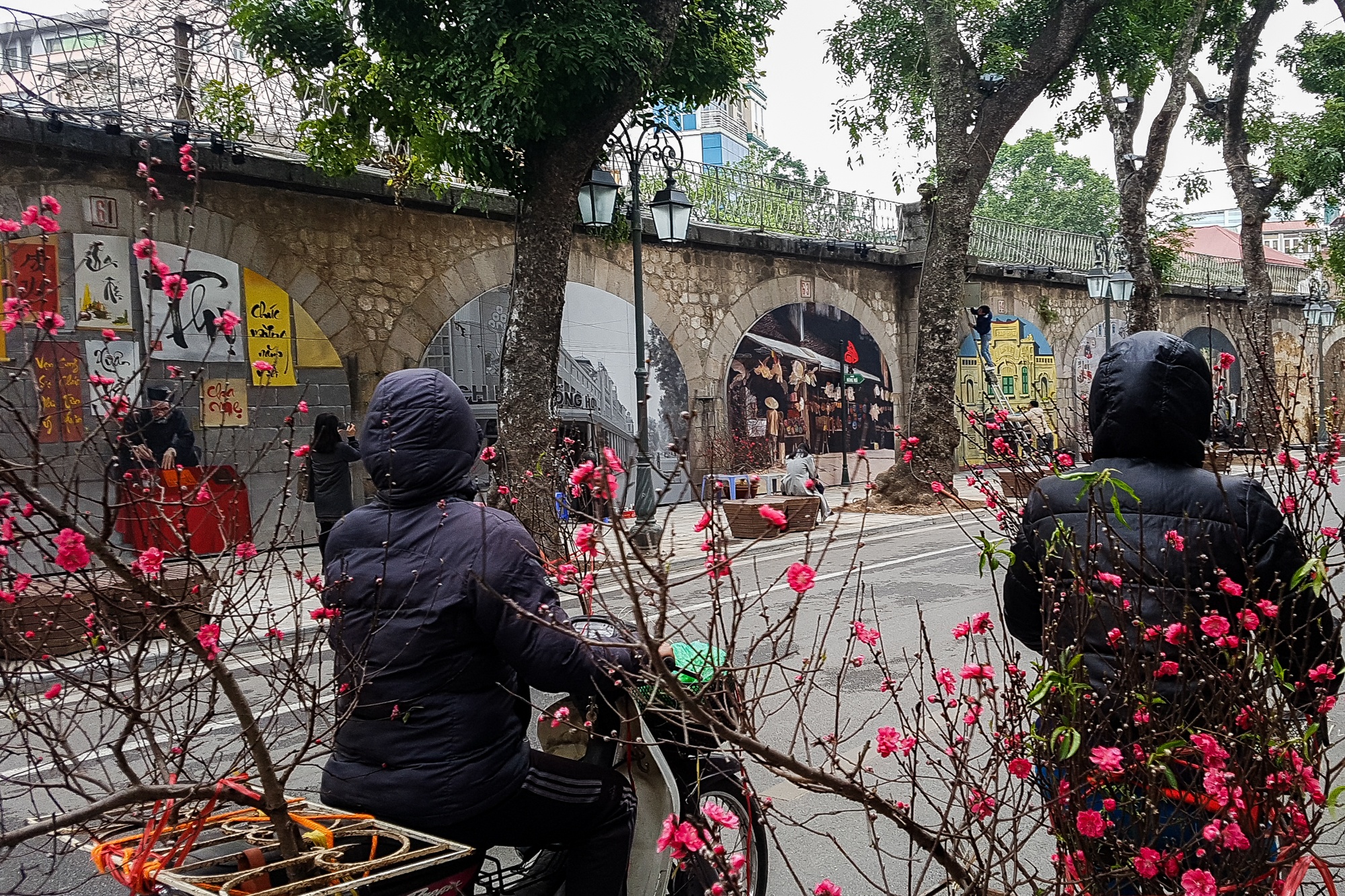 Bich hoa tren duong Phung Hung anh 4