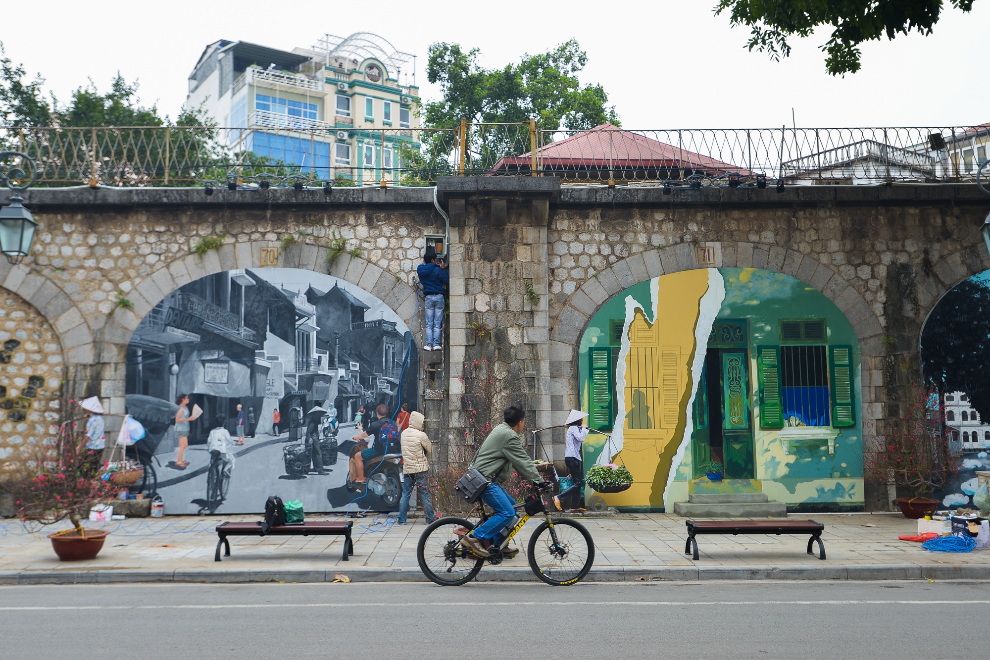 Bich hoa tren duong Phung Hung anh 5