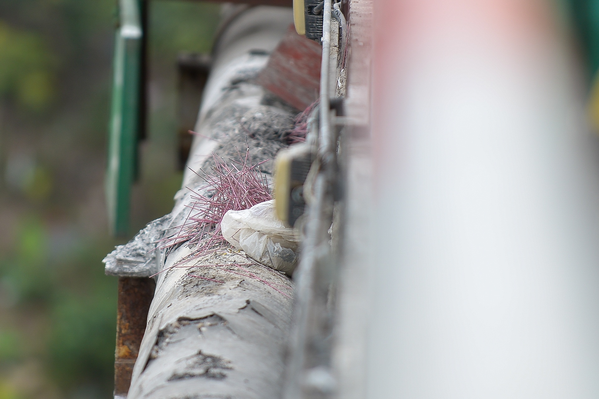 thu gom rac thai ngay tet ong cong ong tao anh 11