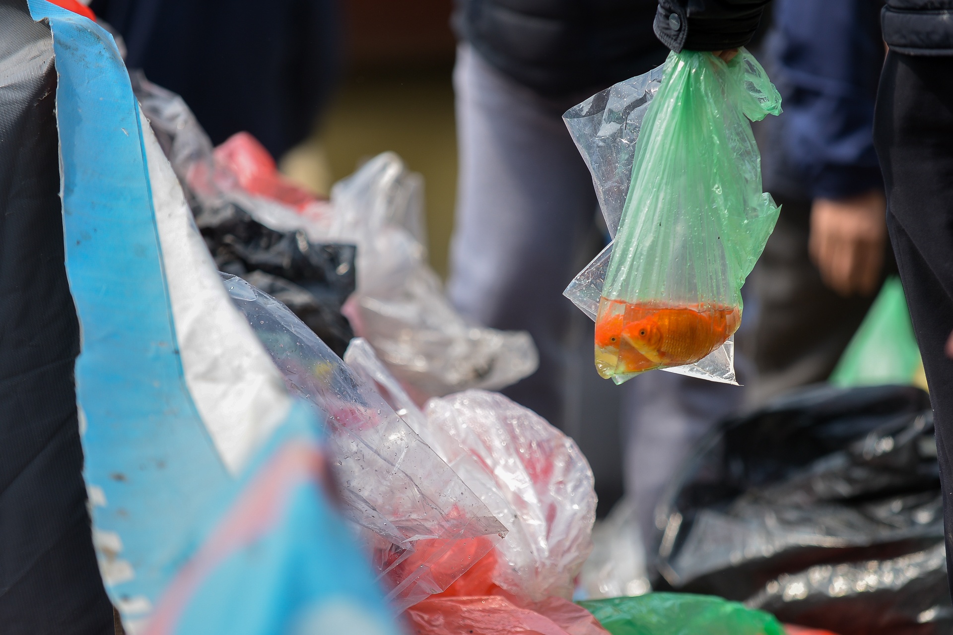 thu gom rac thai ngay tet ong cong ong tao anh 3