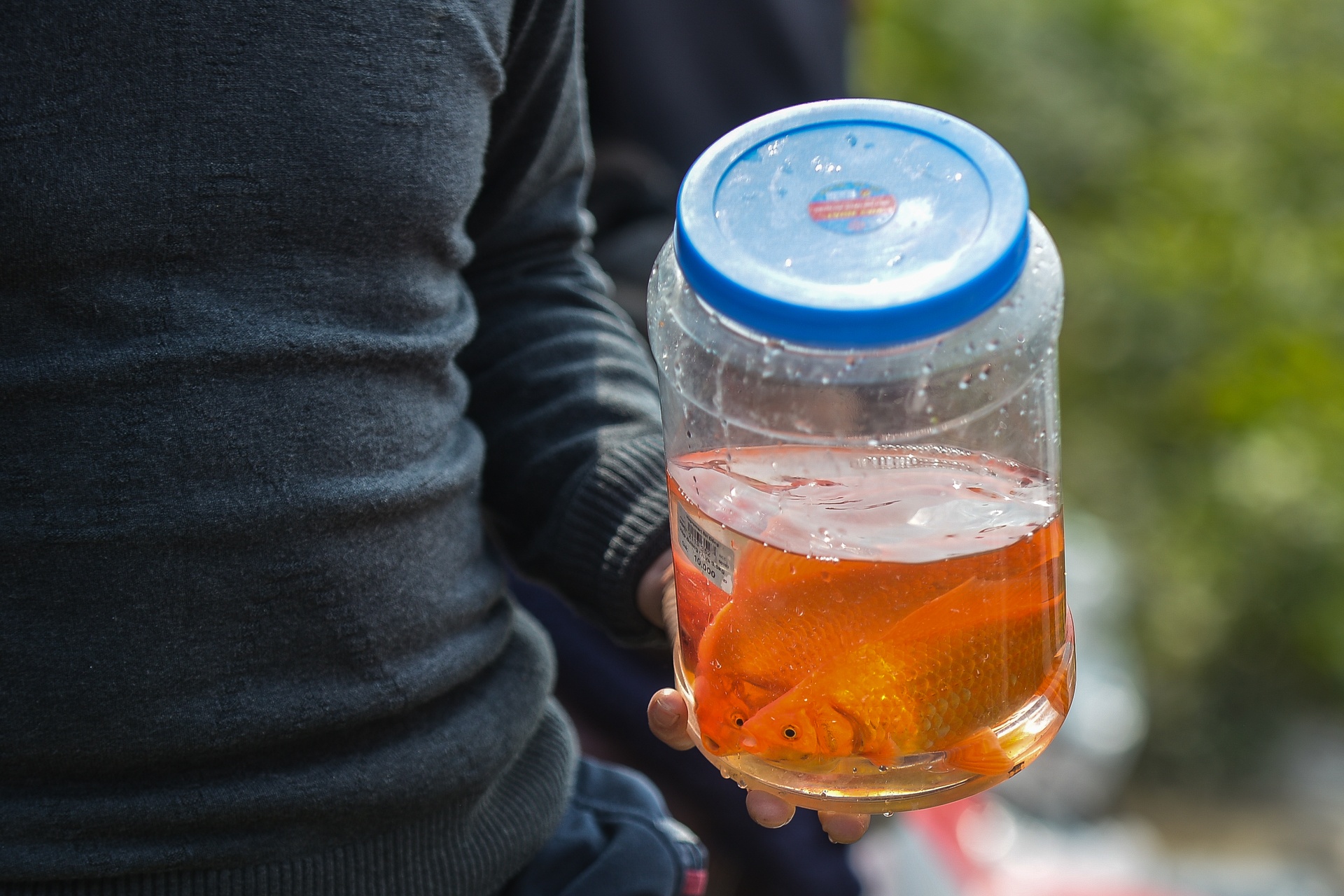 thu gom rac thai ngay tet ong cong ong tao anh 8