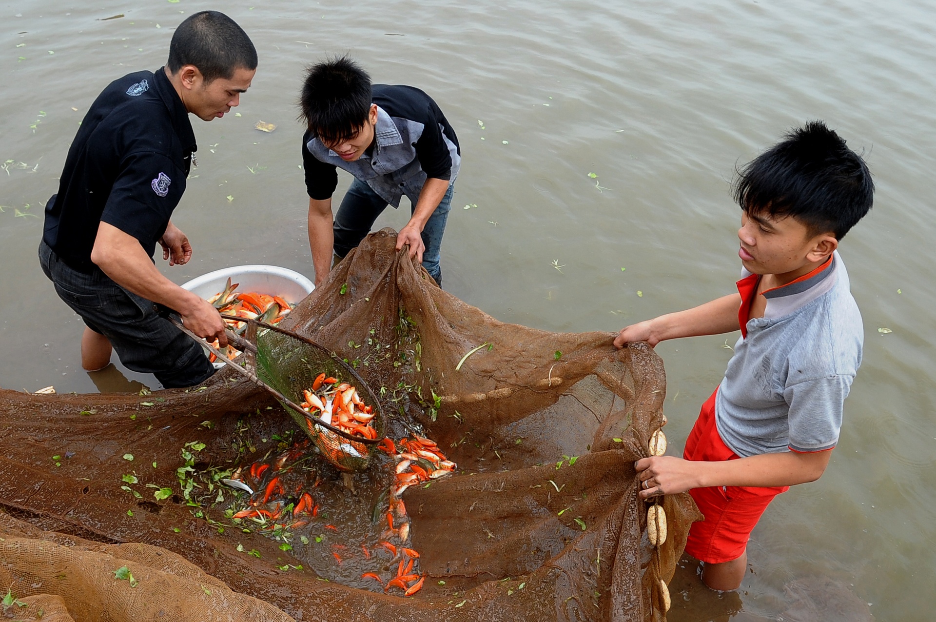 Le cung Tao quan ngay 23 thang Chap anh 2