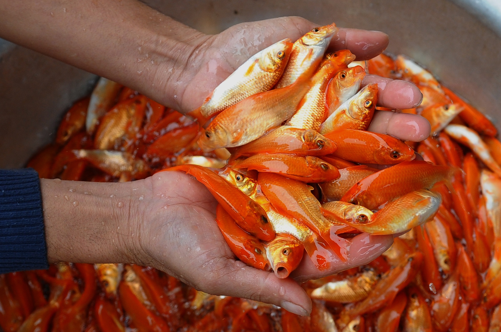 Le cung Tao quan ngay 23 thang Chap anh 4