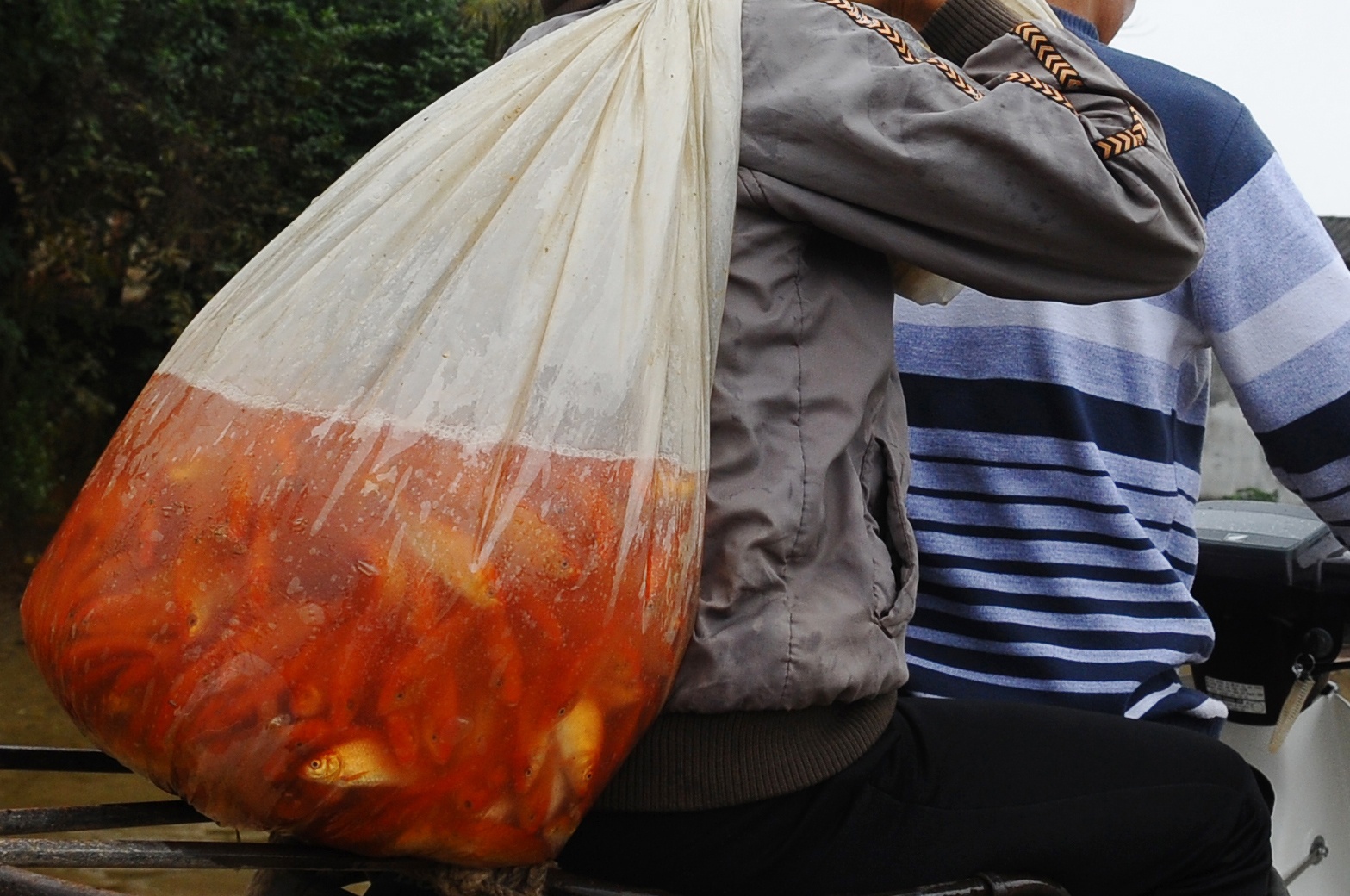 Le cung Tao quan ngay 23 thang Chap anh 5