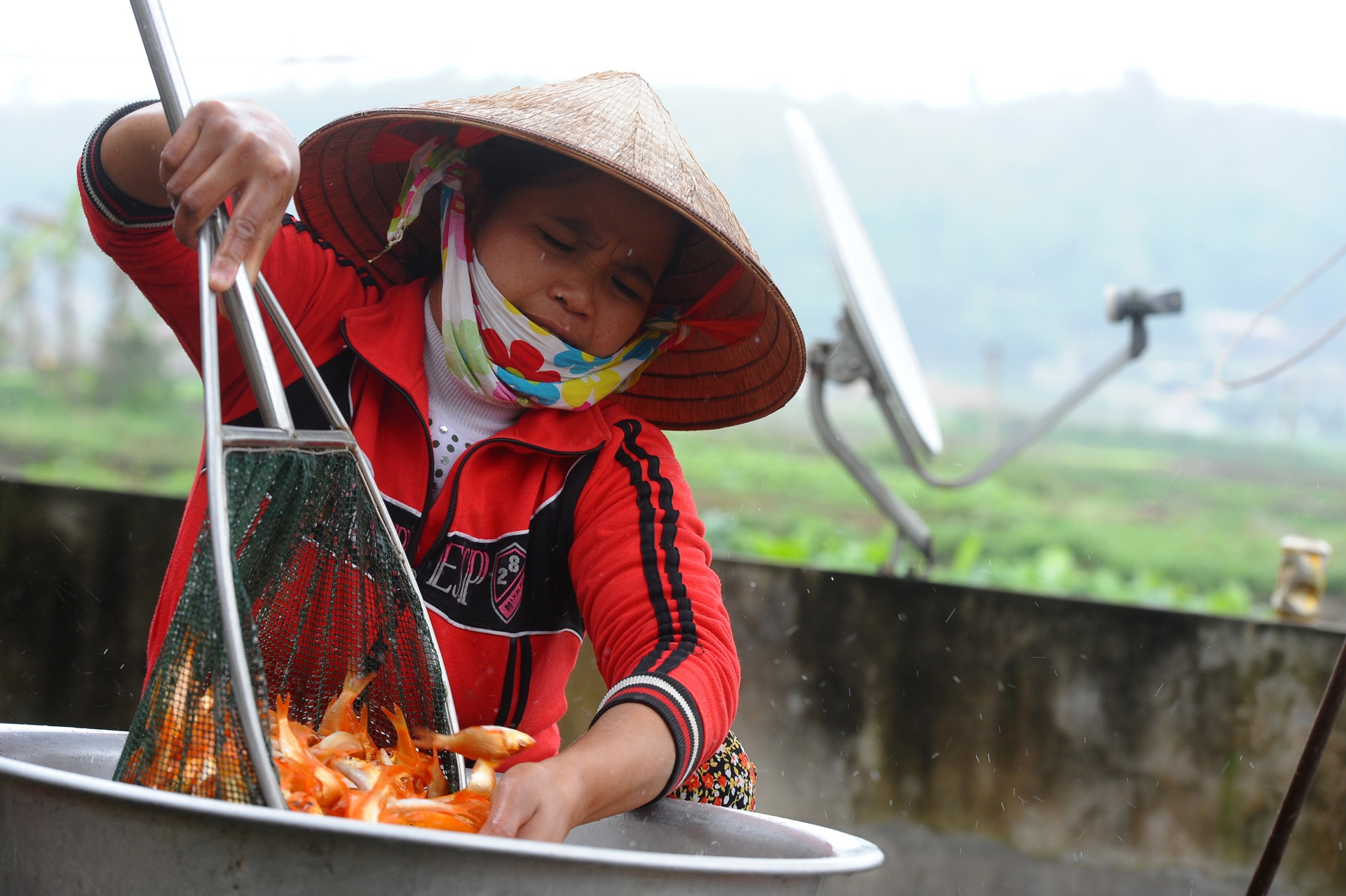 Le cung Tao quan ngay 23 thang Chap anh 3