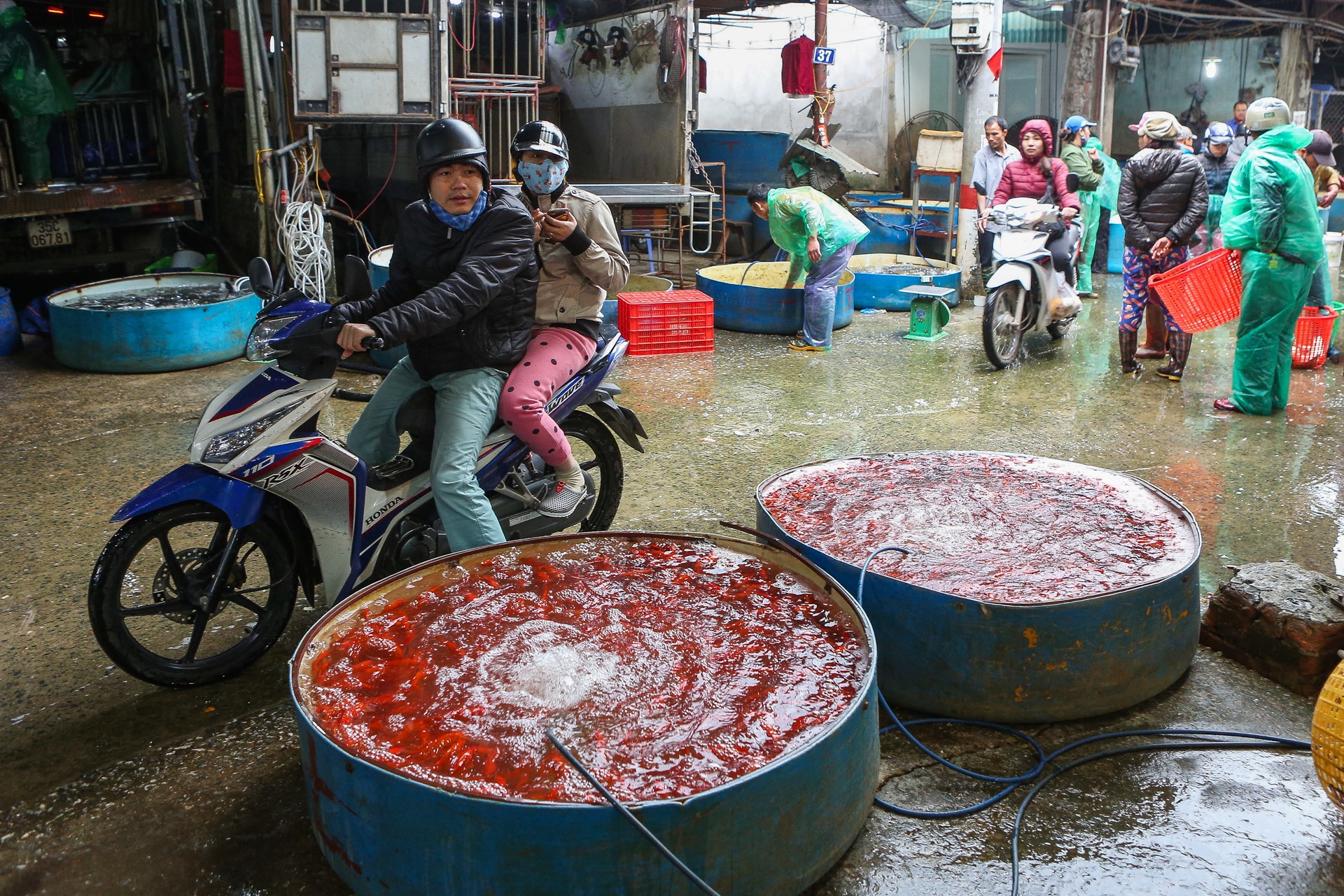 Le cung Tao quan ngay 23 thang Chap anh 9