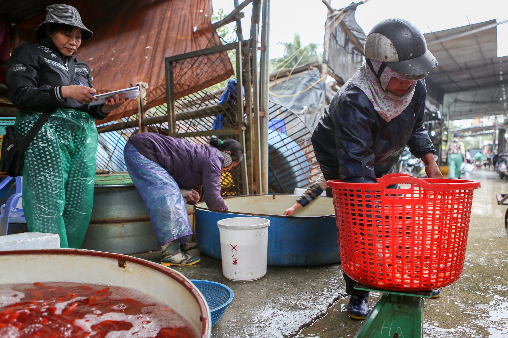 Le cung Tao quan ngay 23 thang Chap anh 10