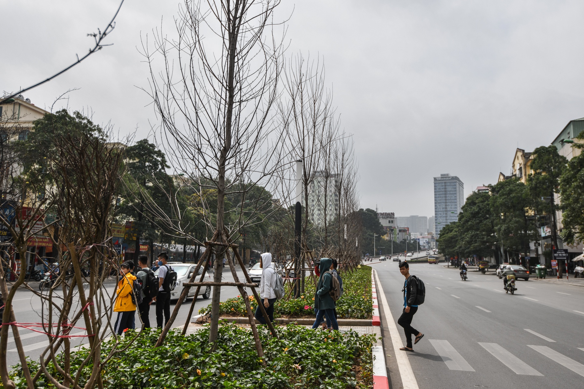 trong phong la do o Ha Noi anh 1