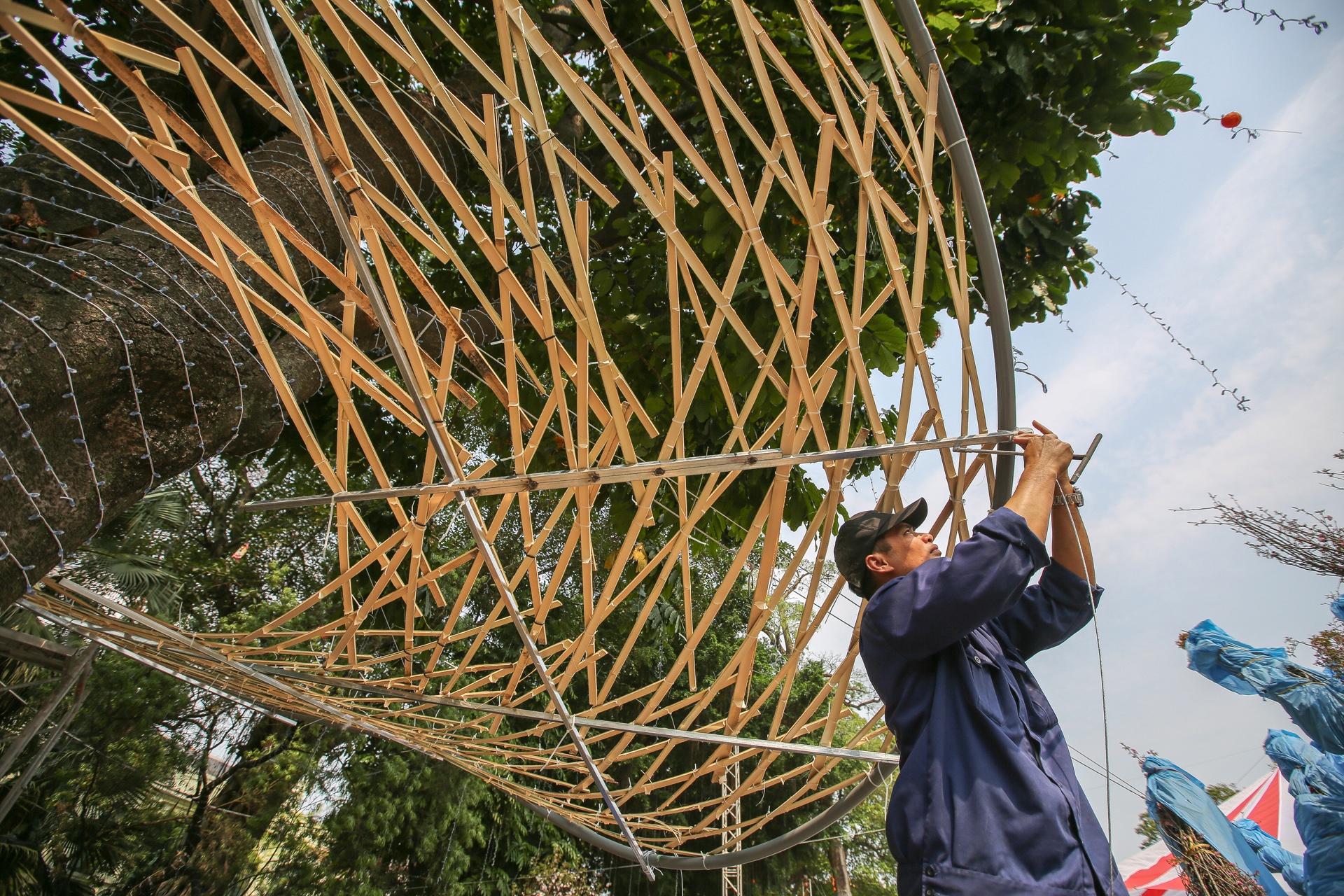le hoi hoa anh dao Ha Noi anh 10