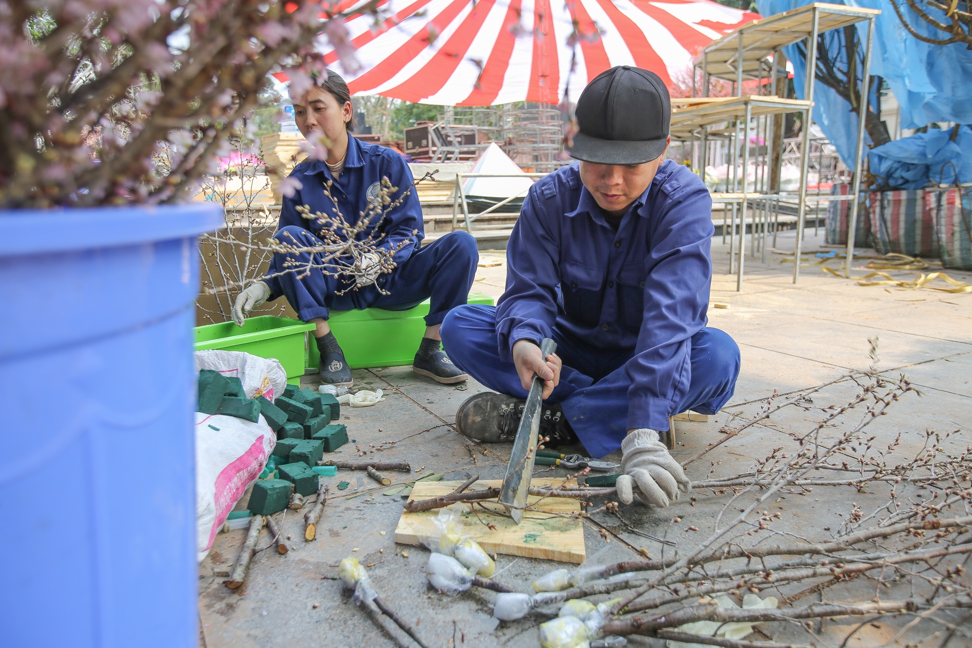 le hoi hoa anh dao Ha Noi anh 7