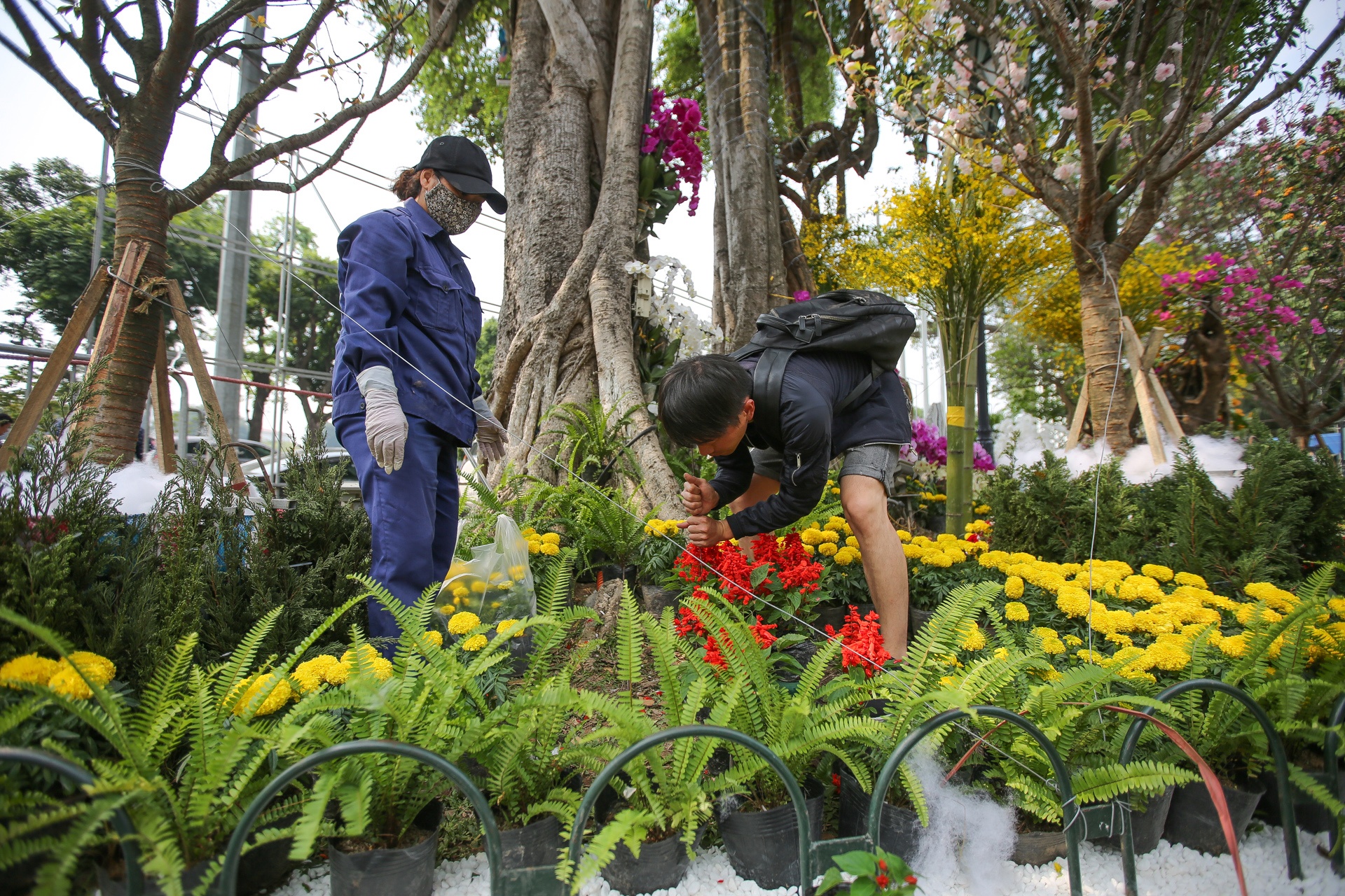 le hoi hoa anh dao Ha Noi anh 8