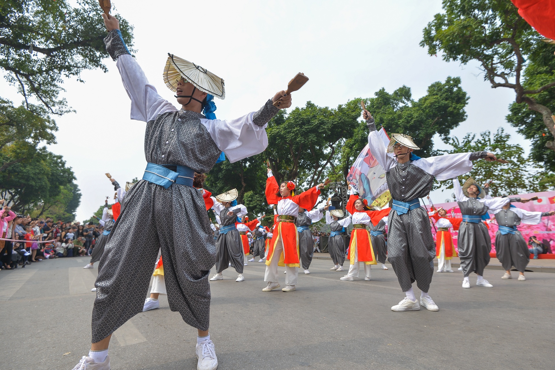 le hoi hoa anh dao Nhat Ban 2018 anh 10