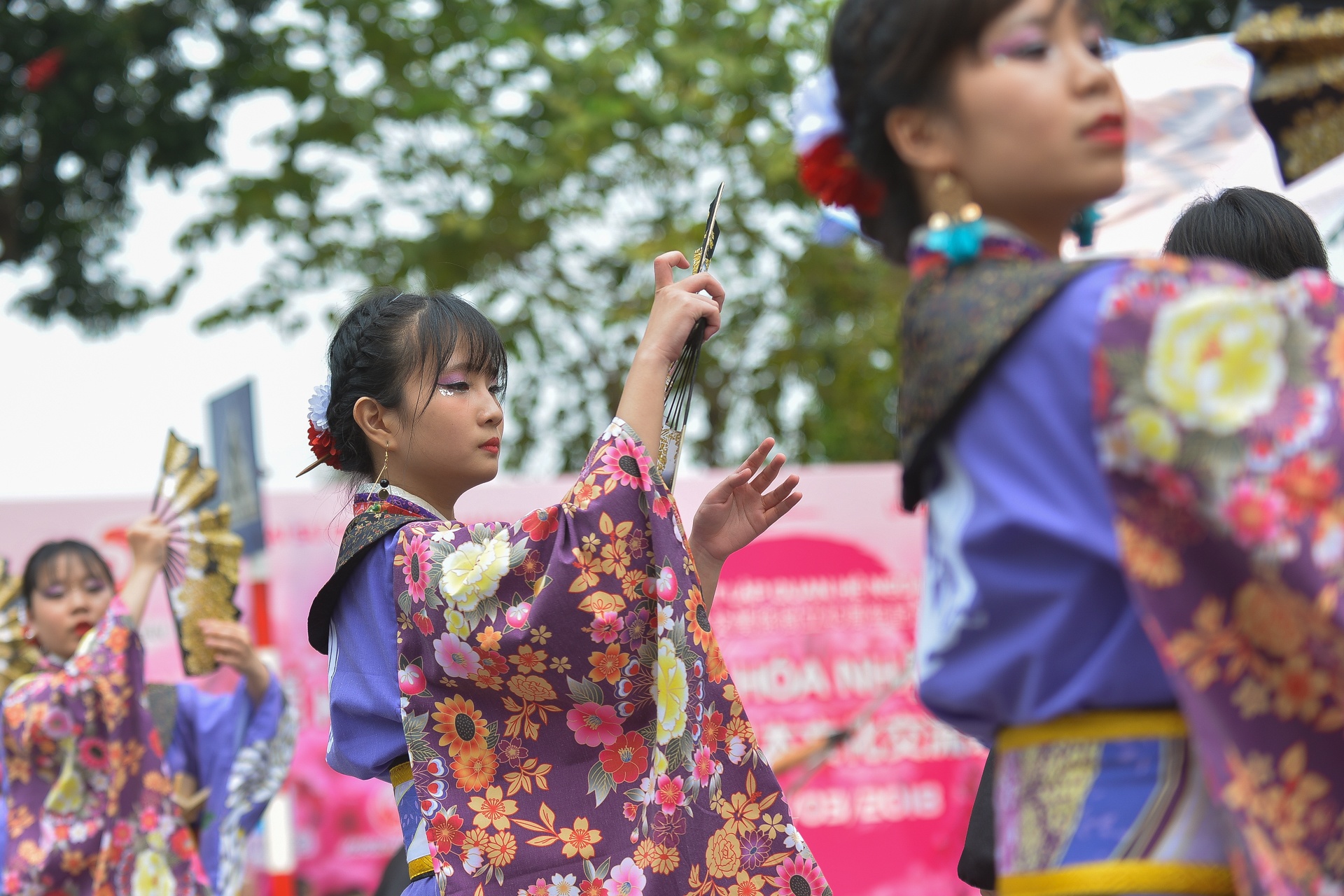 le hoi hoa anh dao Nhat Ban 2018 anh 11