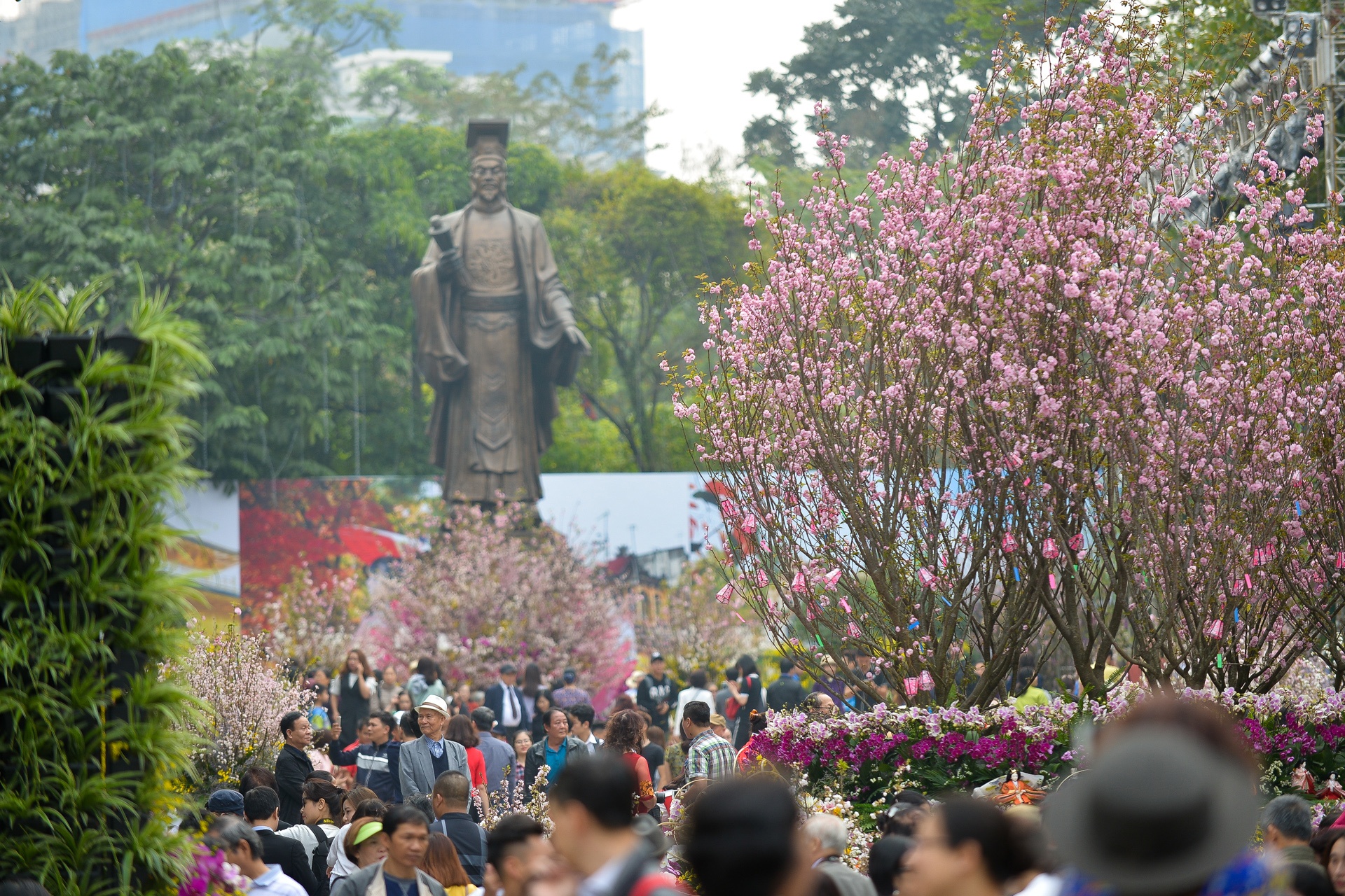 le hoi hoa anh dao Nhat Ban 2018 anh 1
