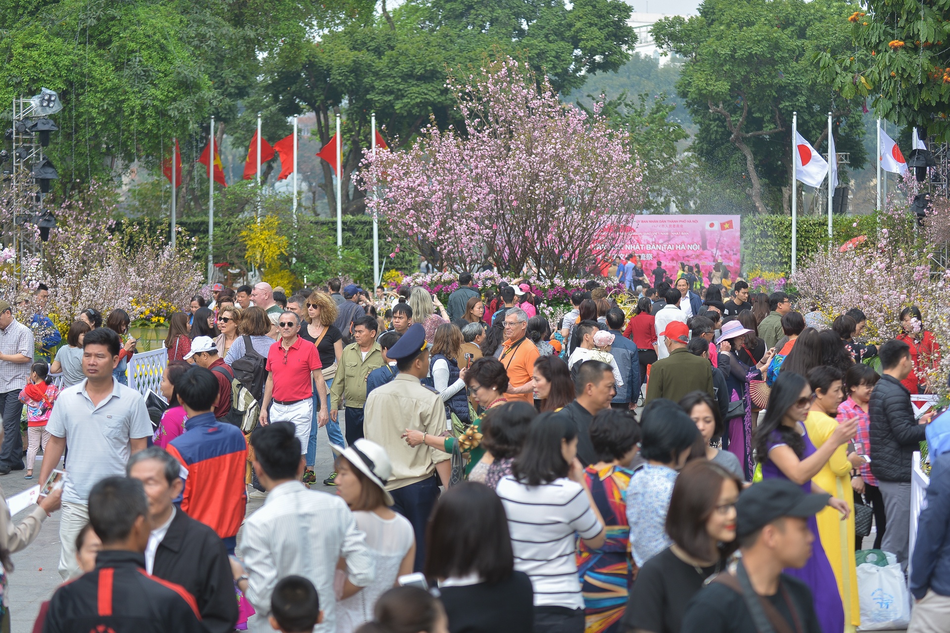 le hoi hoa anh dao Nhat Ban 2018 anh 2