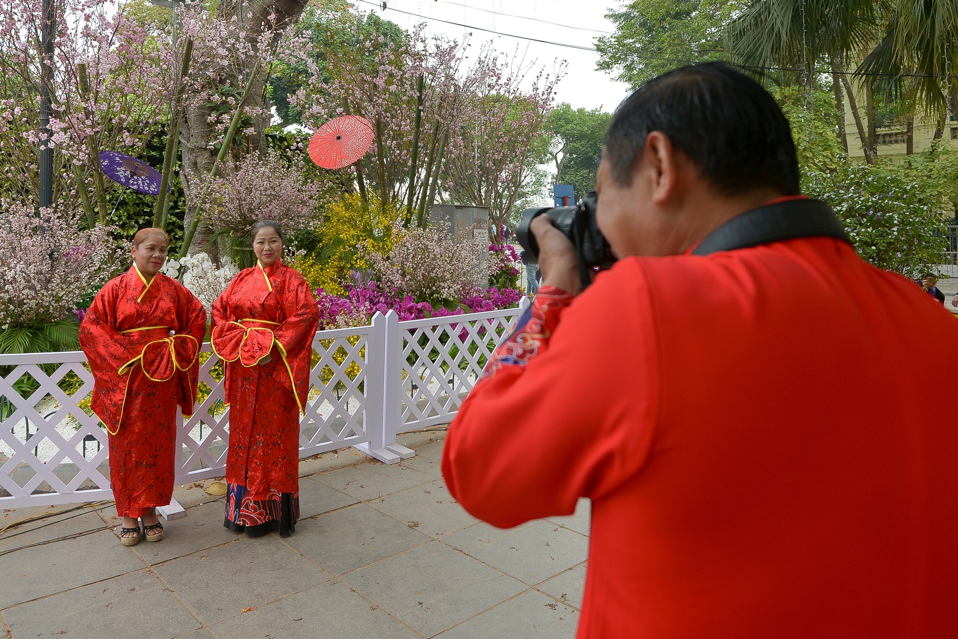 le hoi hoa anh dao Nhat Ban 2018 anh 4