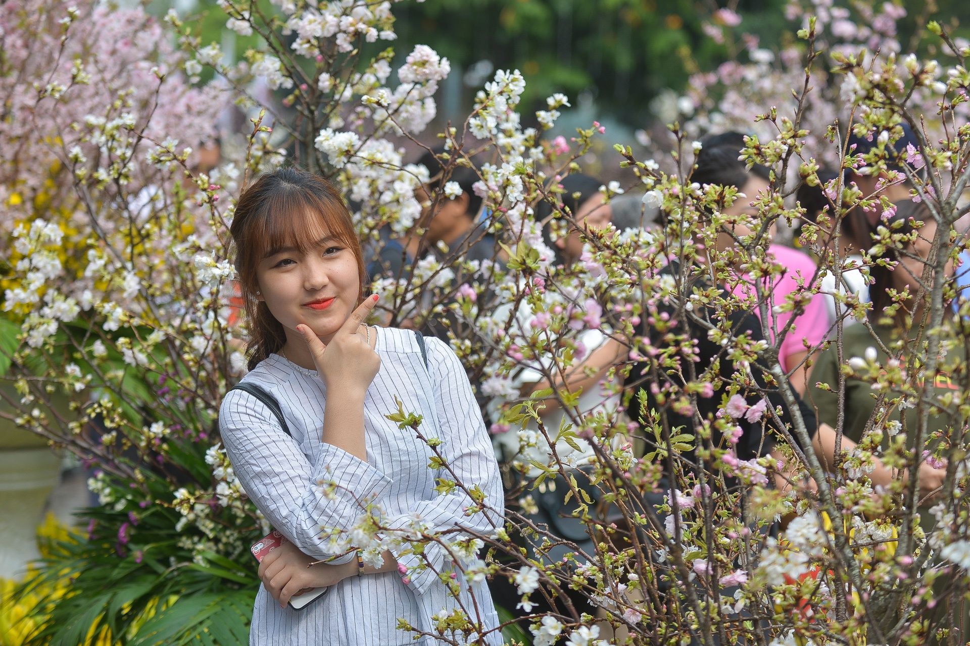 Le hoi hoa anh dao ben ho Guom dong nghet du khach hinh anh