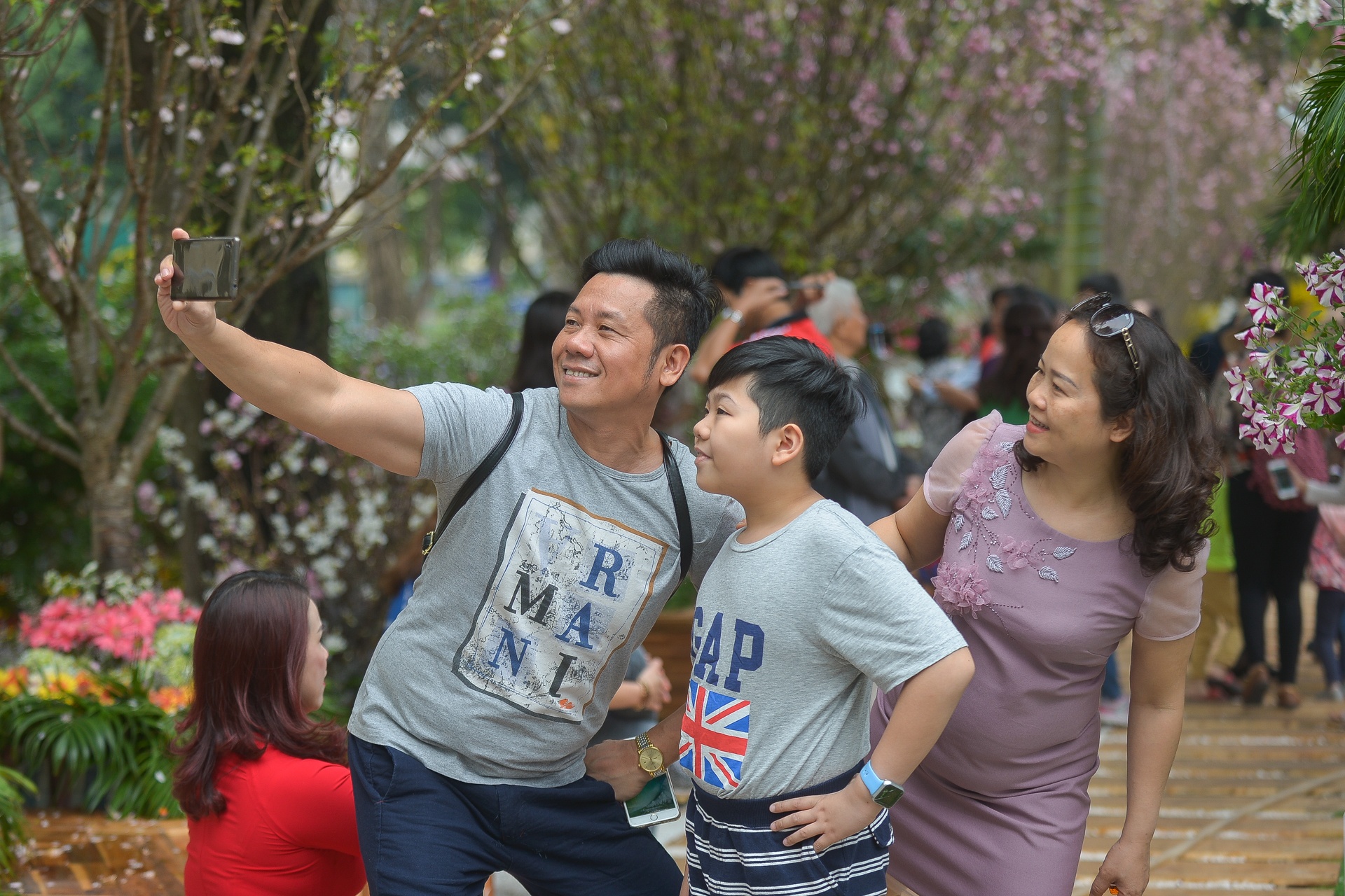 le hoi hoa anh dao Nhat Ban 2018 anh 7