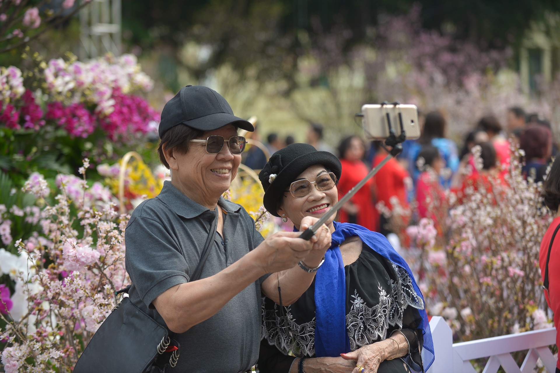 le hoi hoa anh dao Nhat Ban 2018 anh 8