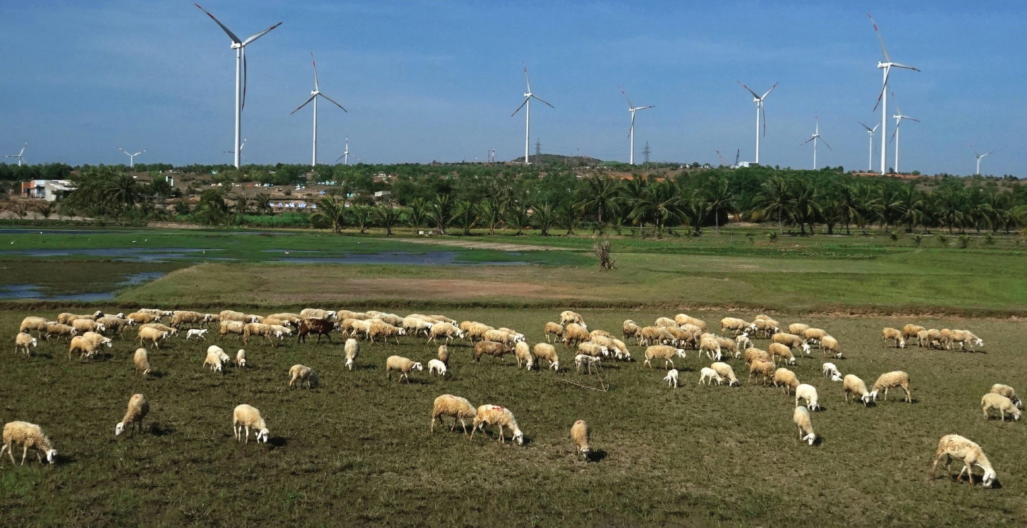 trien lam Viet nam ngay nay anh 4