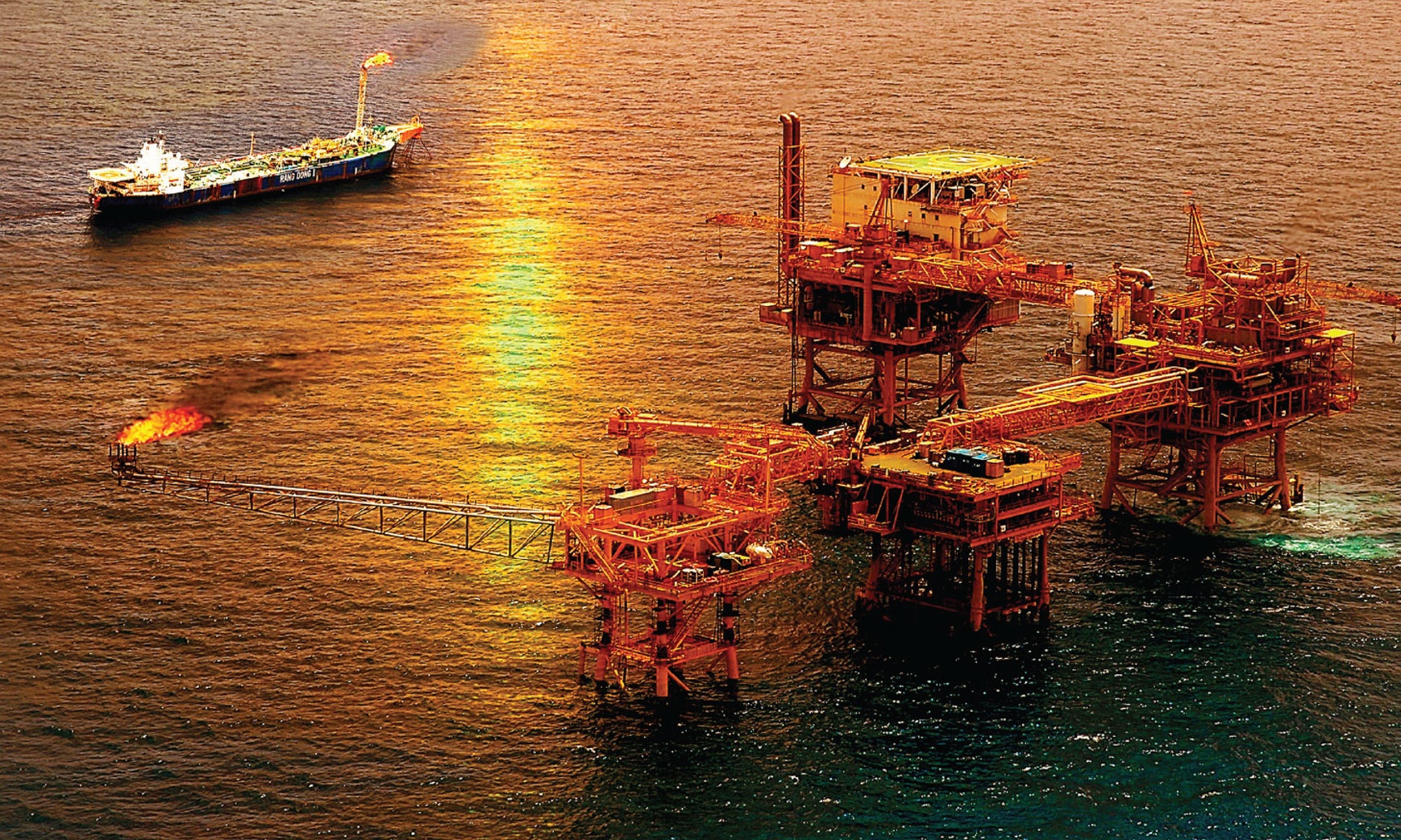 trien lam Viet nam ngay nay anh 7