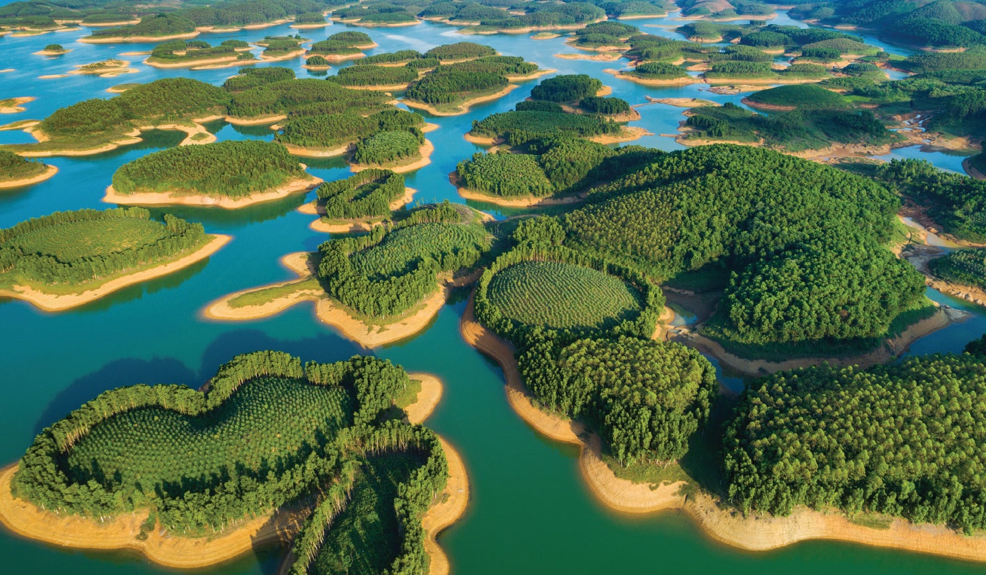 trien lam Viet nam ngay nay anh 8