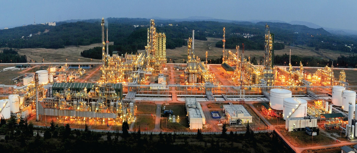 trien lam Viet nam ngay nay anh 6