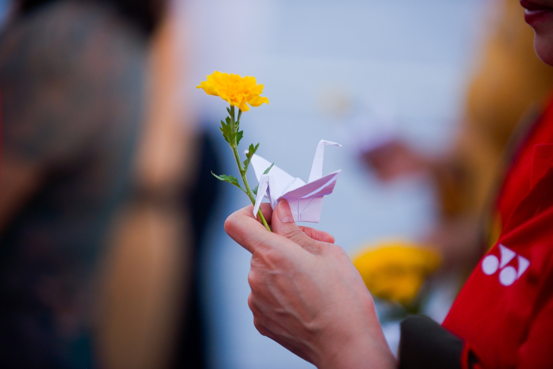 kieu bao tham Truong Sa va nha gian DK1 anh 18