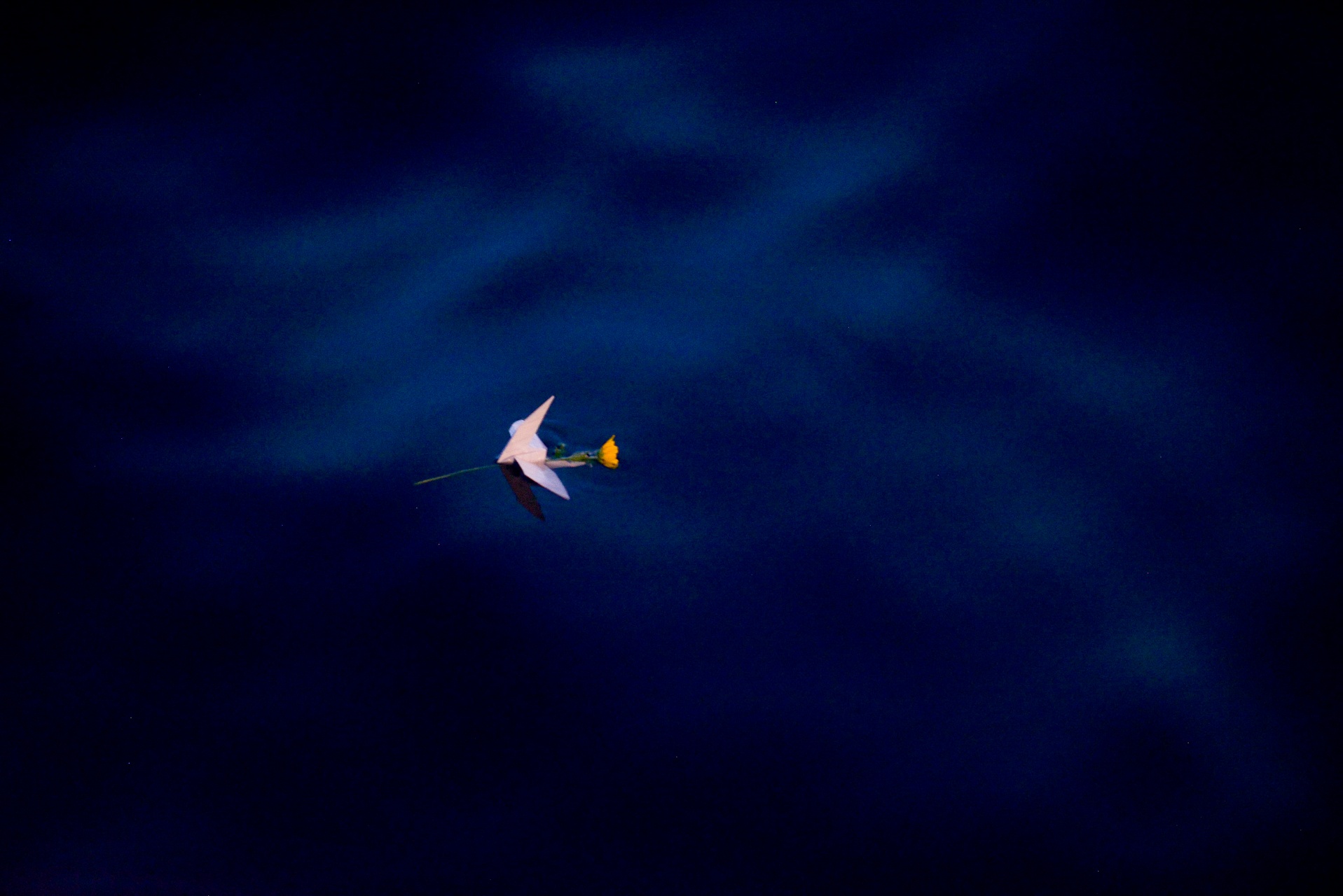 kieu bao tham Truong Sa va nha gian DK1 anh 19