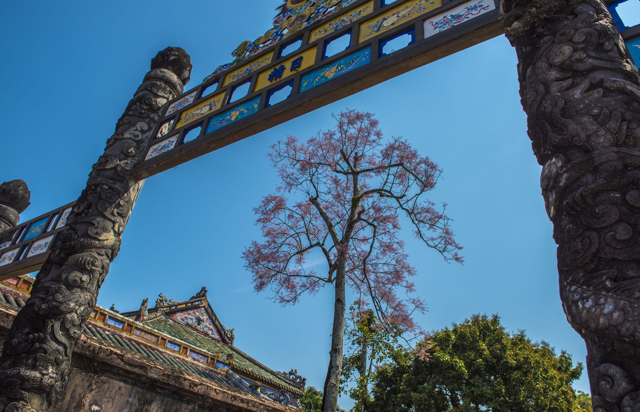 hoa ngo dong o Hue anh 6