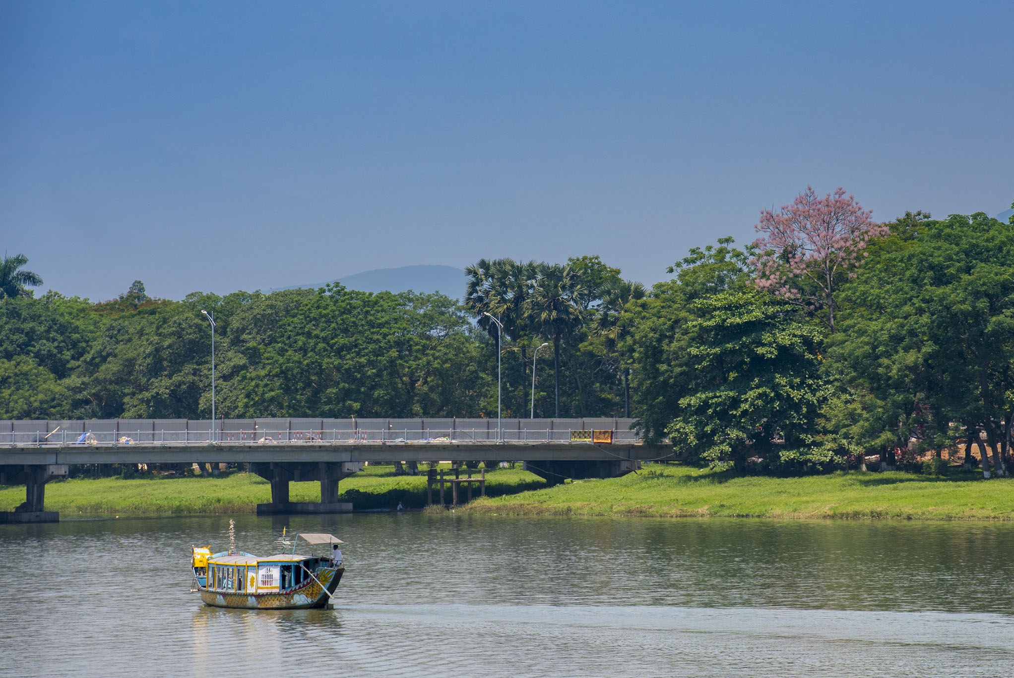 hoa ngo dong o Hue anh 8