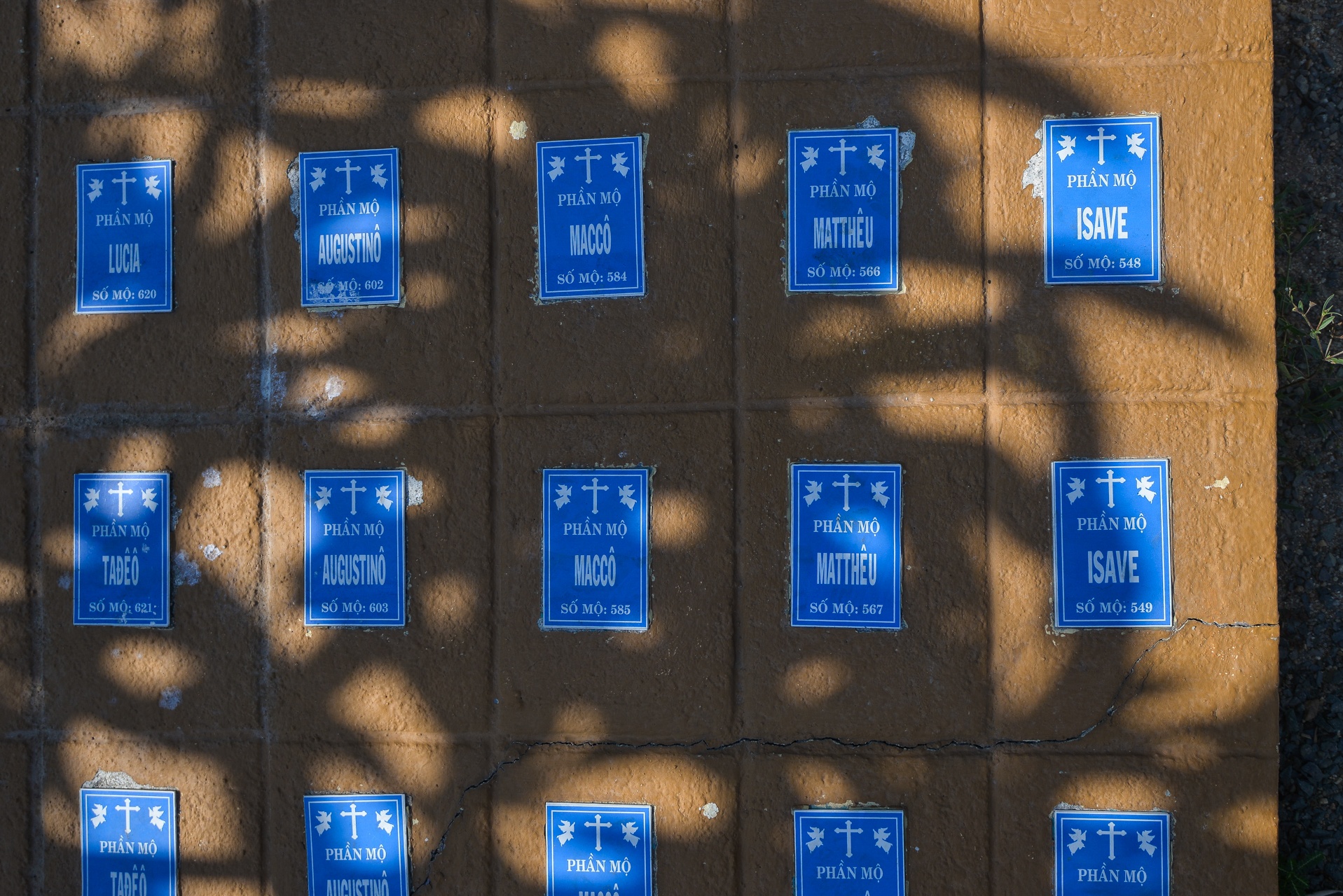 nguoi dan ong chon cat thai nhi anh 30