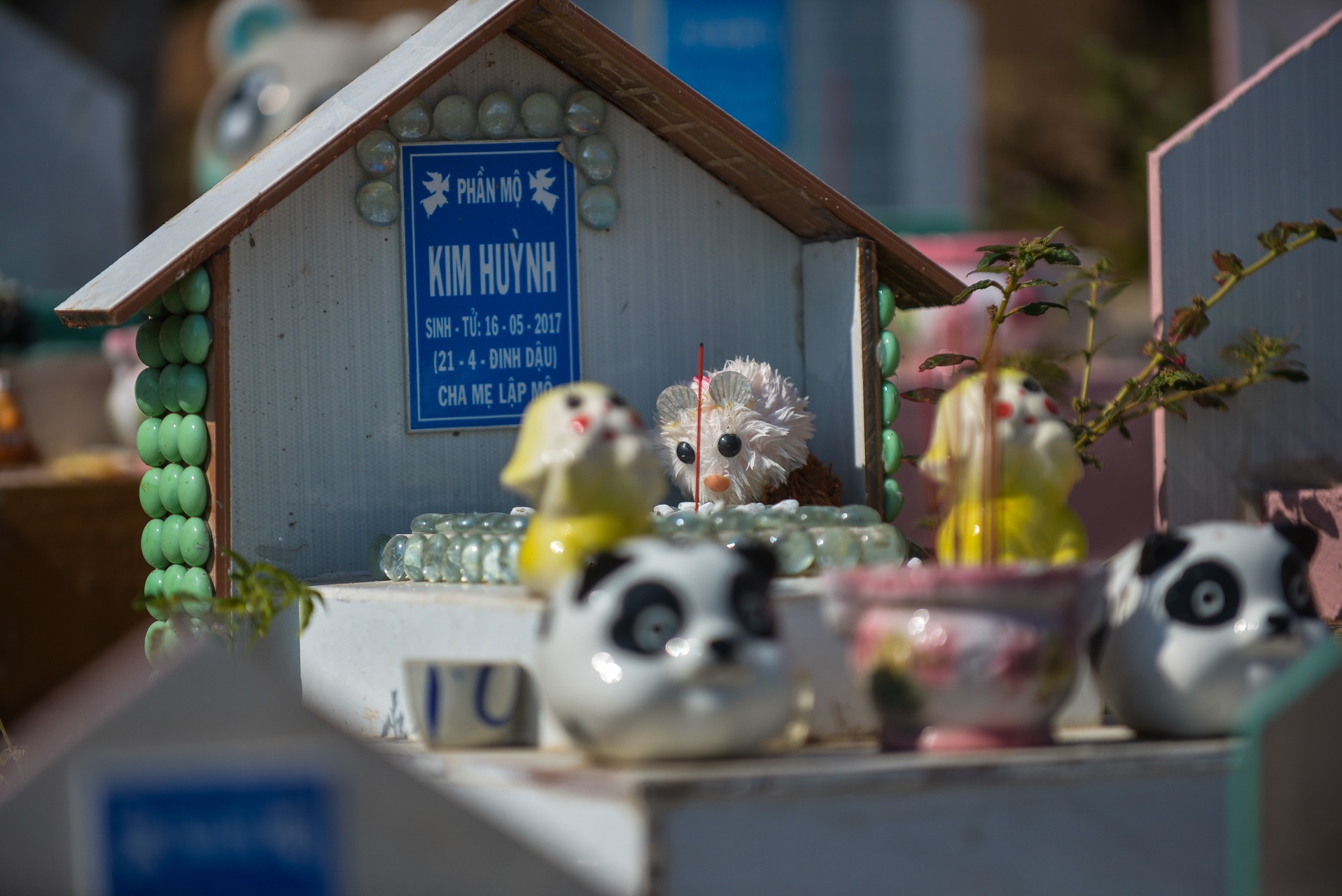 nguoi dan ong chon cat thai nhi anh 31