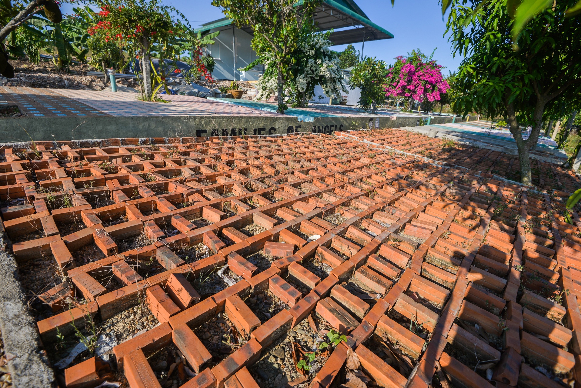 nguoi dan ong chon cat thai nhi anh 29