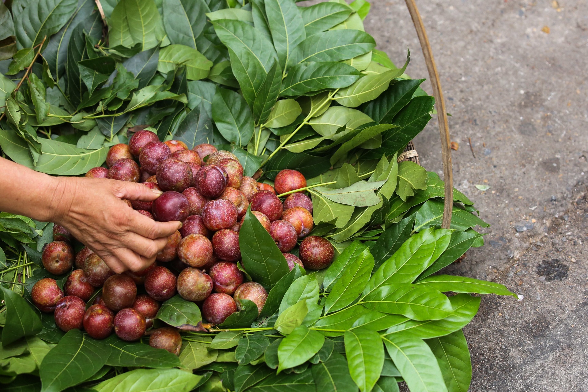 mua le cung ngay Tet Doan Ngo anh 8