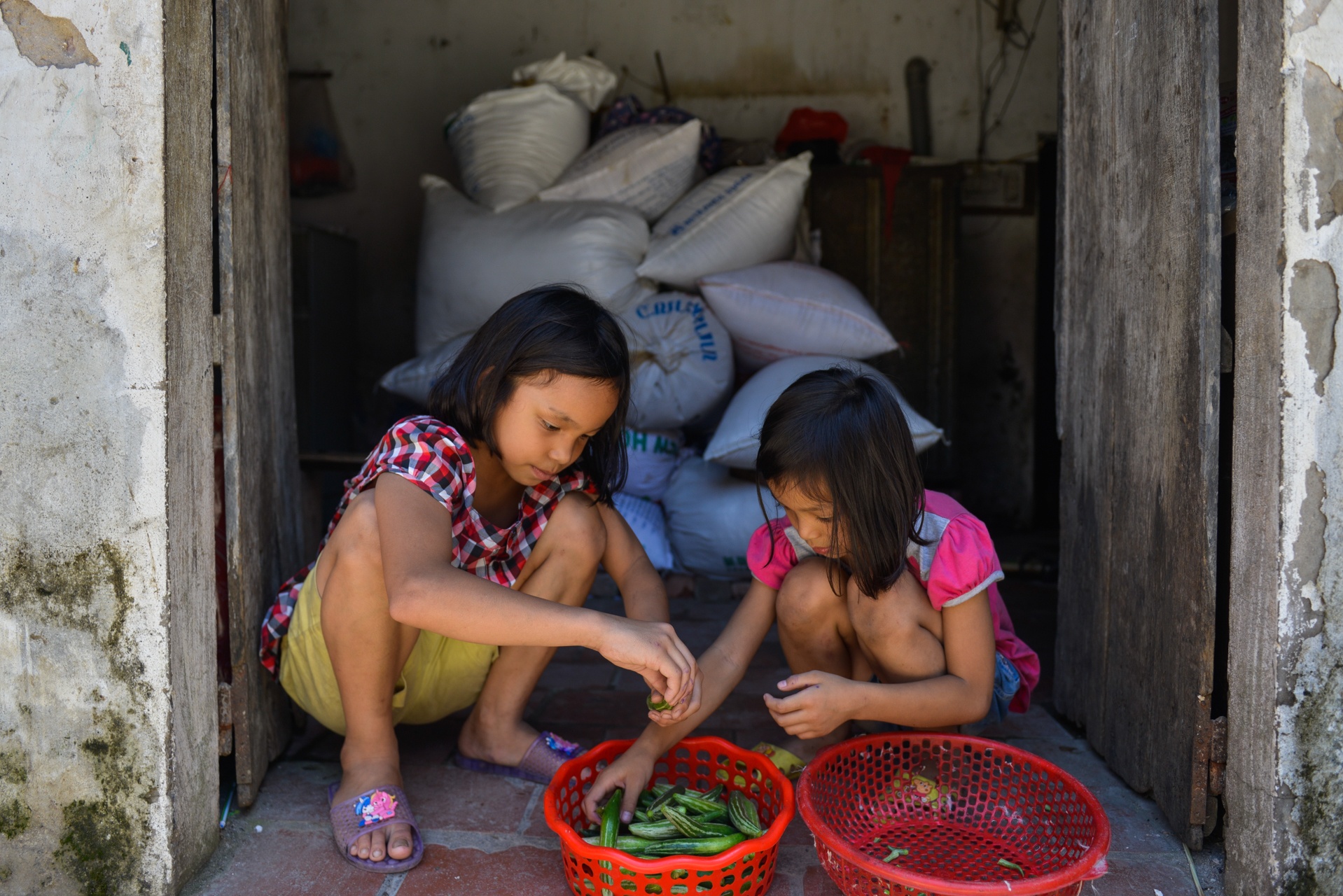 uoc mo thoat ngheo cua co gai 18 tuoi anh 10