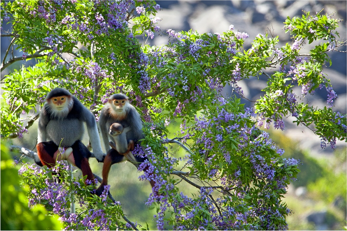 thi anh nghe thuat du lich Viet Nam anh 10
