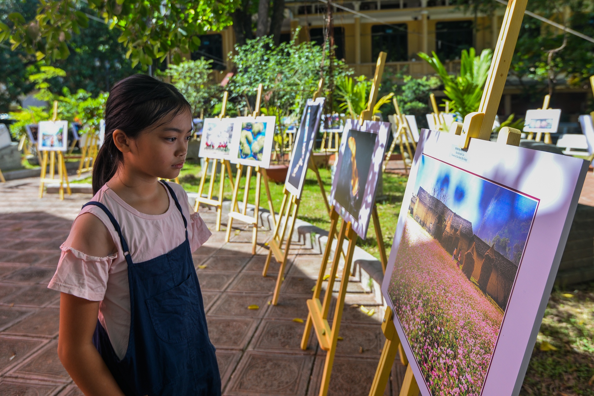 thi anh nghe thuat du lich Viet Nam anh 14