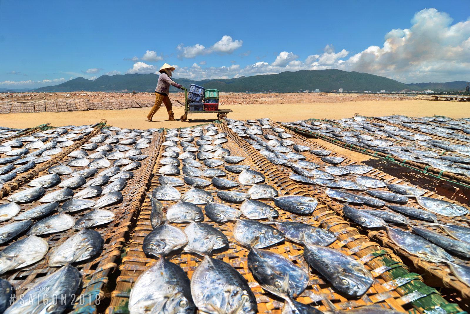 con nguoi va bien ca anh 6