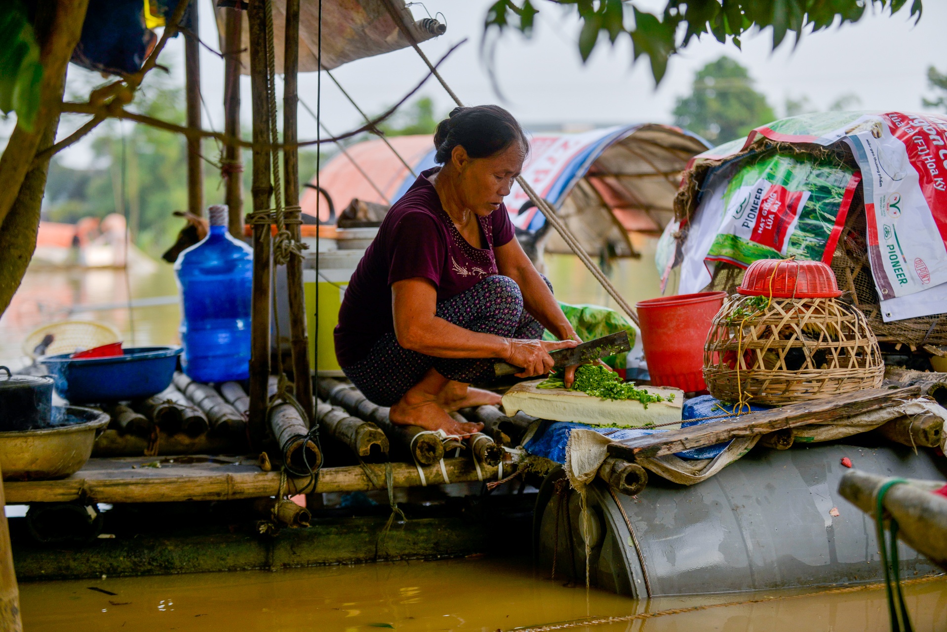 ngap nha cua do nuoc lu anh 7