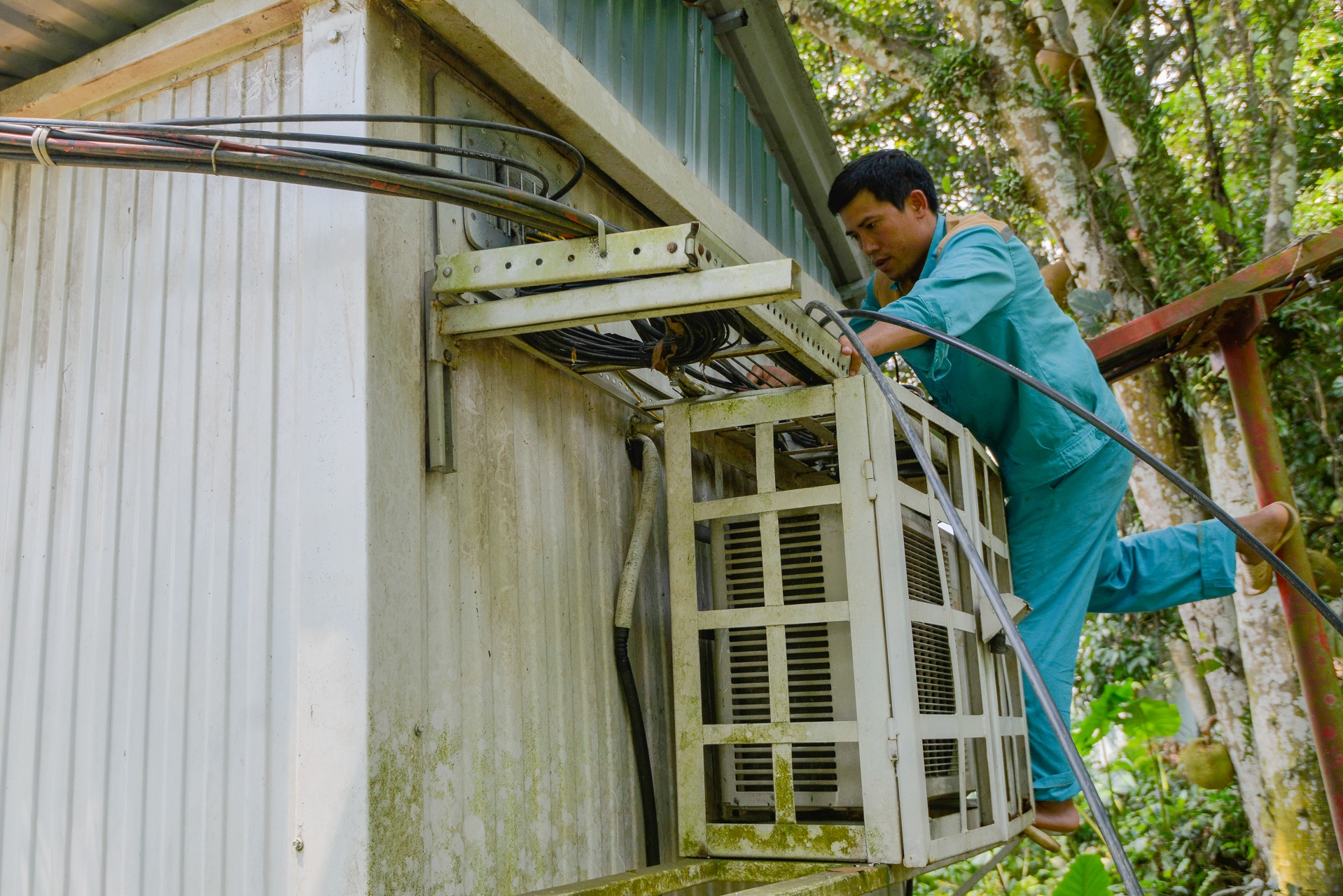 Viettel ảnh 15 Viettel anh 15