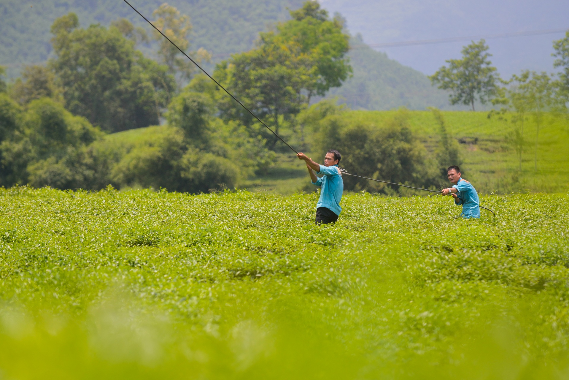 Viettel ảnh 17 Viettel anh 17