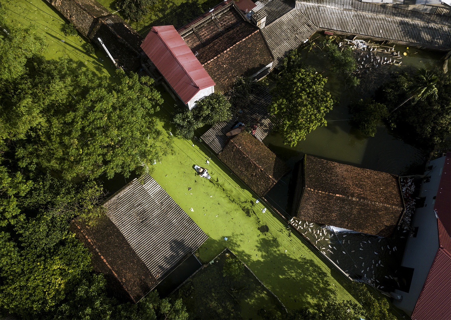 Ha Noi mua ngap anh 31