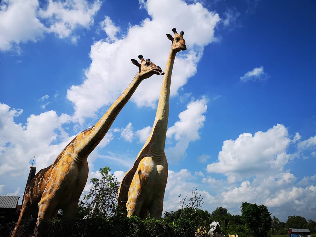 tác nghiệp cuộc thi Thành phố Hồ Chí Minh 2018 ảnh 11 tac nghiep cuoc thi Thanh pho Ho Chi Minh 2018 anh 11