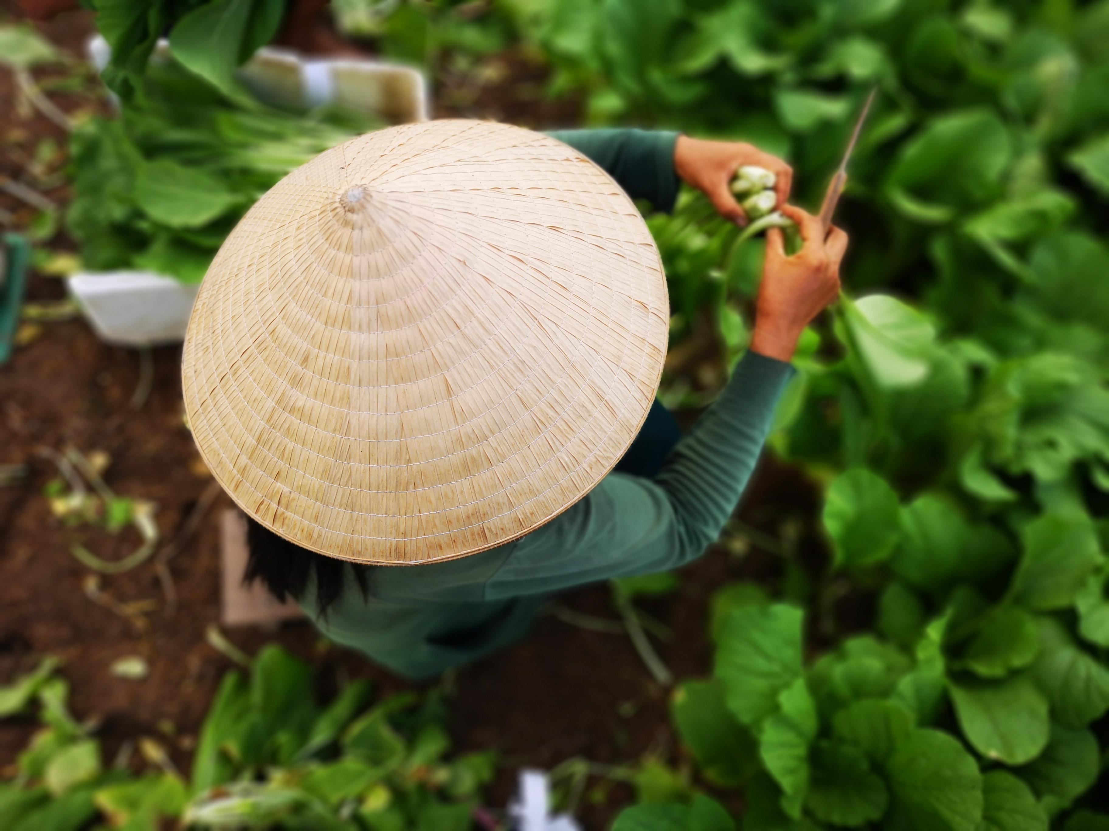 tác nghiệp cuộc thi Thành phố Hồ Chí Minh 2018 ảnh 4 tac nghiep cuoc thi Thanh pho Ho Chi Minh 2018 anh 4